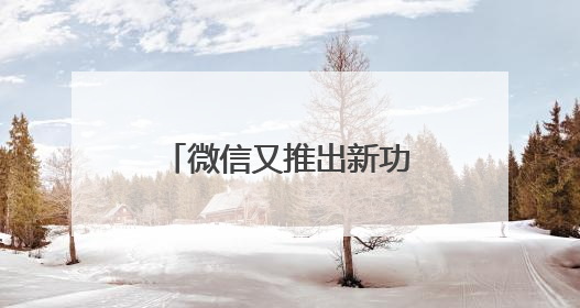 微信又推出新功能，有网友直呼：终于等到了